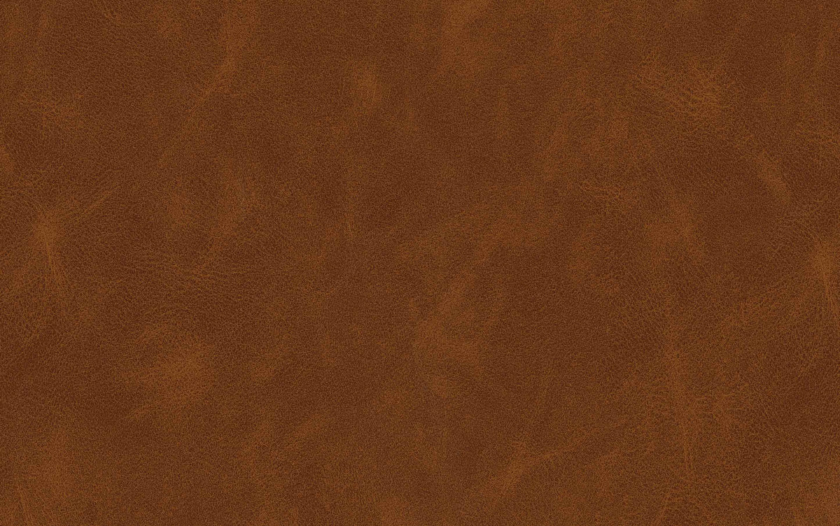 Camel Brown | Dafney Counter Height Stool (Set of 2)