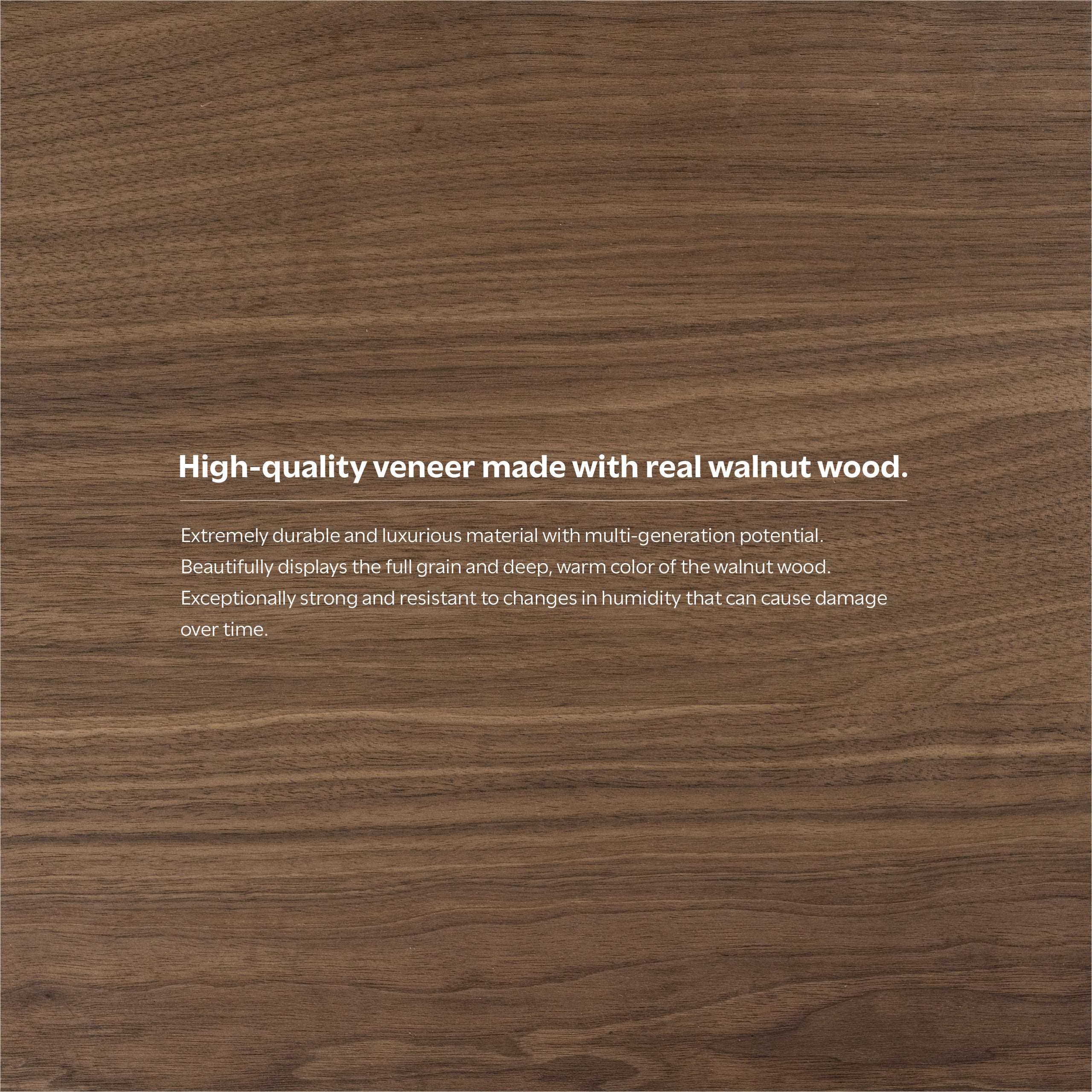 Walnut Walnut | Draper Dining Table