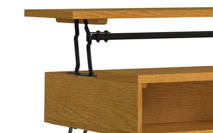 Oak Veneer Black Oak | Hunter Small Lift Top Coffee Table