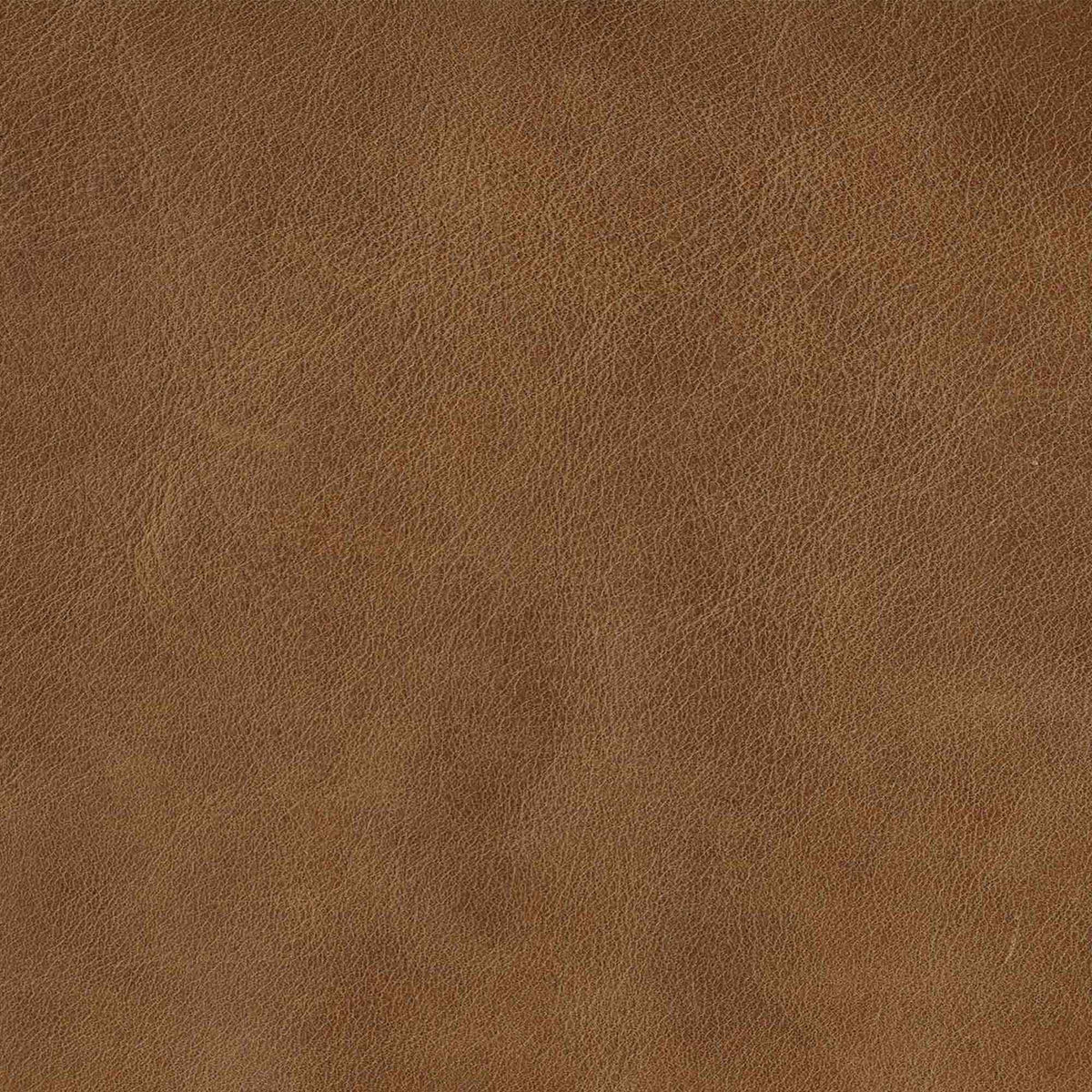 Caramel Brown Swatch