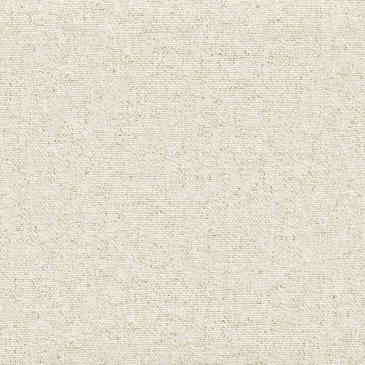 Ivory Swatch