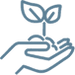 Plant a tree icon